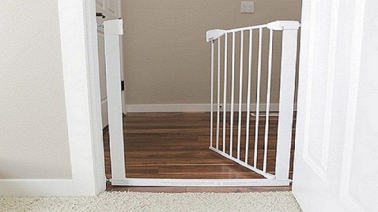 Best Baby Gate With Cat Door In 2022   Baby Gate With Cat Door 768x432 