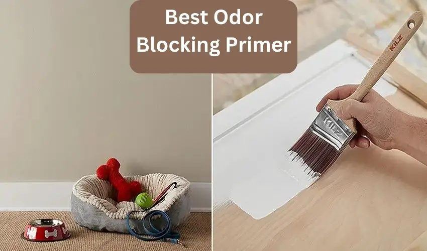 Best Odor Blocking Primer