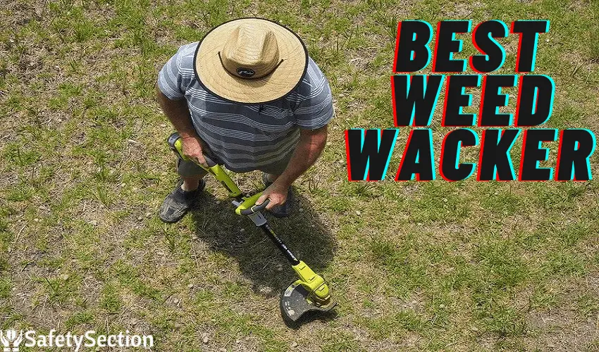 Best Weed Wacker for The Money