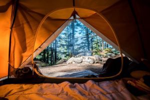 Get the right camping tent