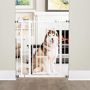 Carlson Extra Tall Pet Gate with Small Pet Door, Heavy Duty Pet Gate