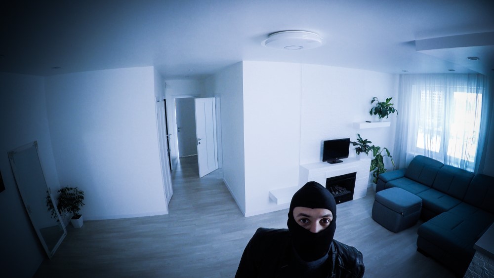 Do Security Cameras Scare Burglars?