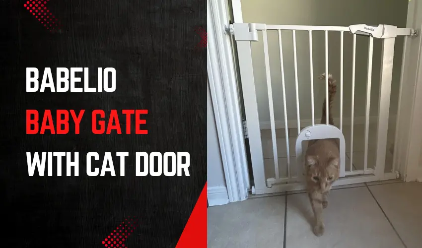 Babelio Upgraded Baby Gate with Cat Door