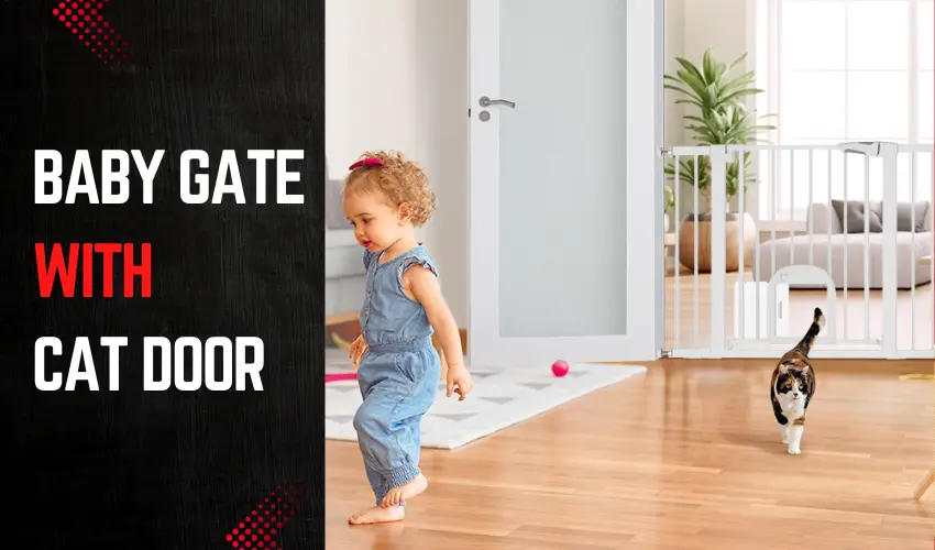 Baby Gate With Cat Door