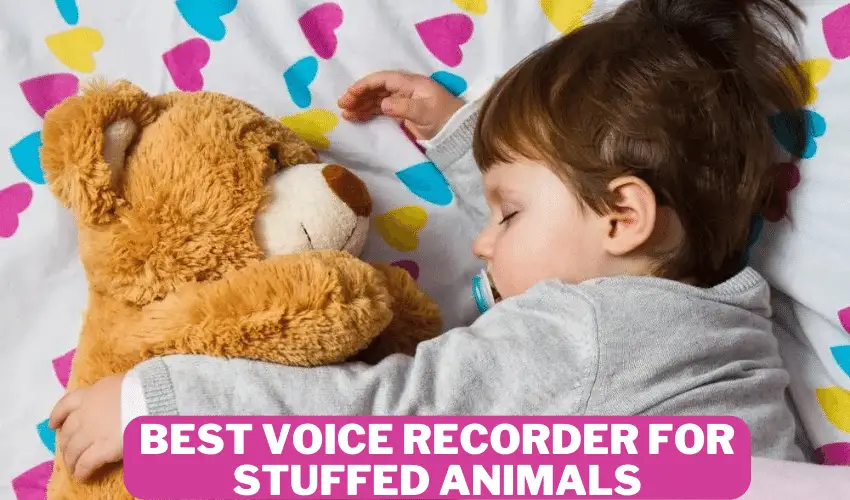 Best Voice Recorder for Stuffed Animals