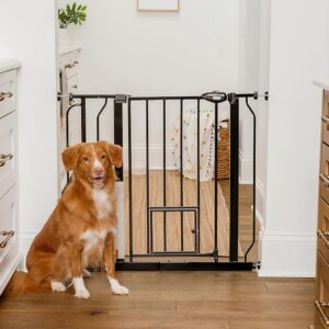 Carlson Extra Wide Walk-Through Pet Gate with Small Pet Door