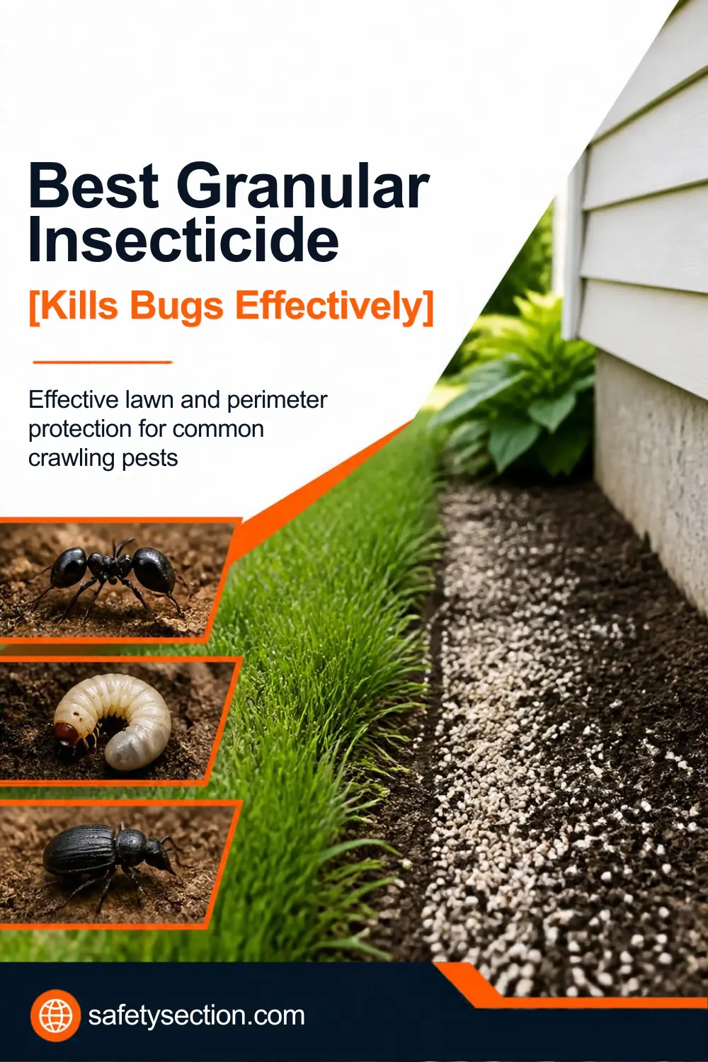 Best Granular Insecticide [Kills Bugs Effectively]